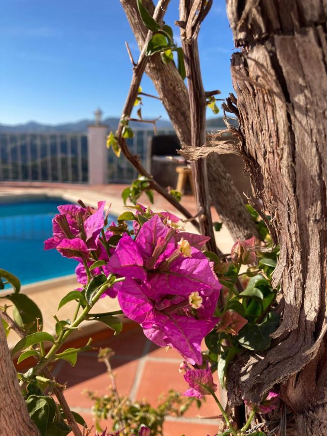Casa La Quinta Bed & Breakfast Ríogordo Dış mekan fotoğraf